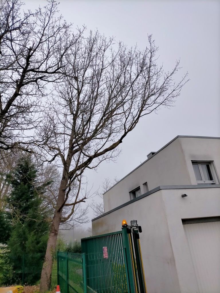 IMG20220414102221