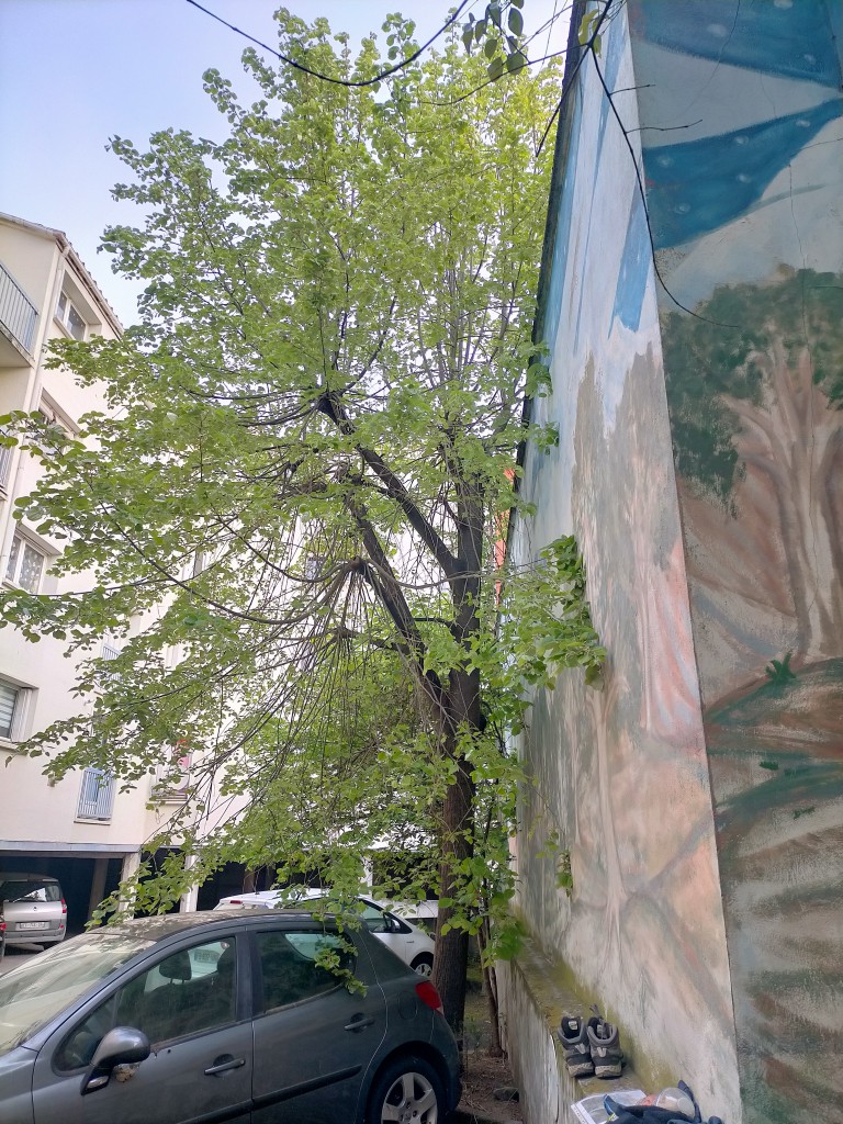 IMG20220415084336