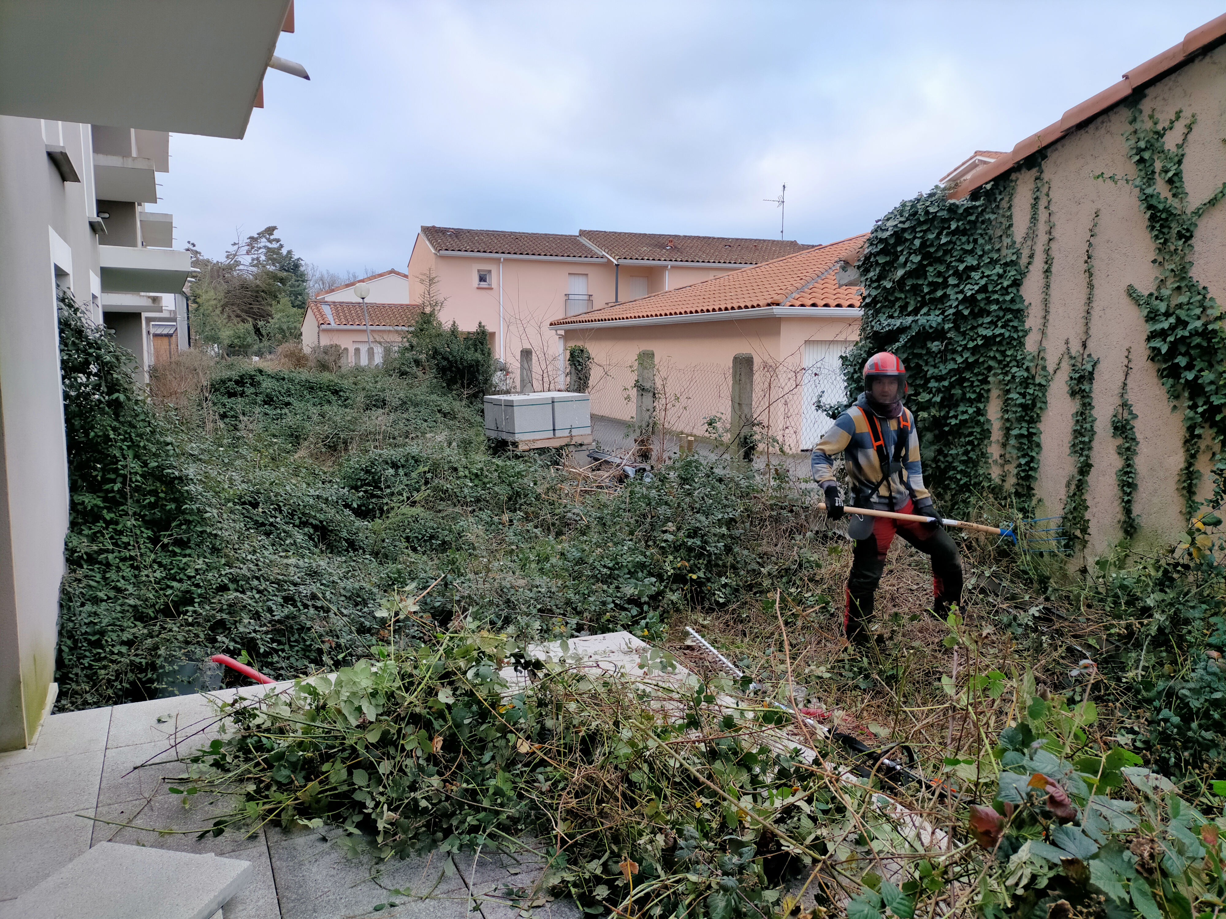 Ouvrier entrain de débroussailler Gros roncier en cours de débroussaillage par un ouvrier