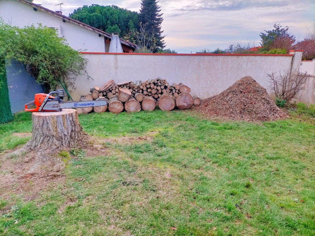 Tas de bois, tronçonneuse et broyat